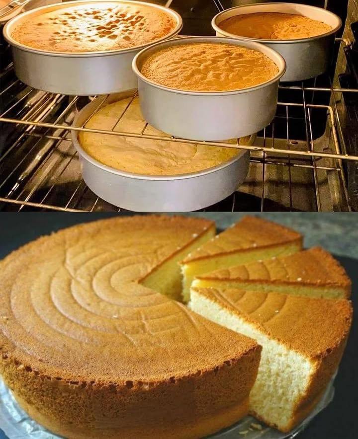 Cajun Chicken Alfredo