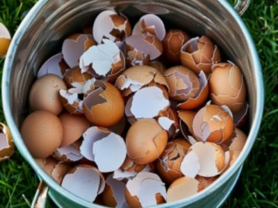 Cajun Steak Alfredo: An Easy One-Pan Recipe